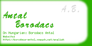 antal borodacs business card